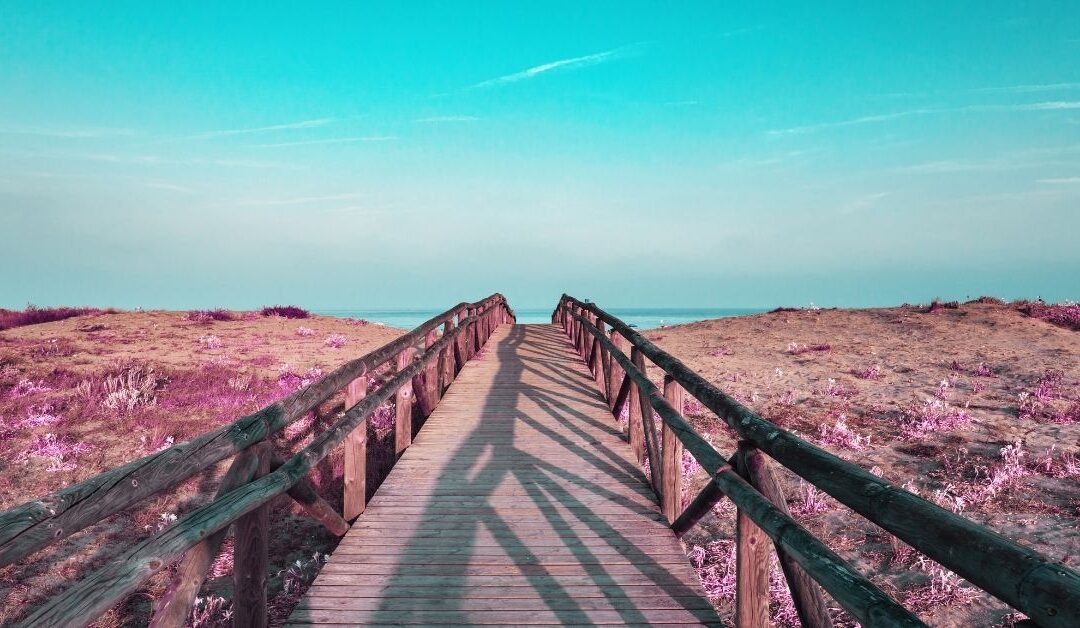 Helping Our Children Find Their Own Path