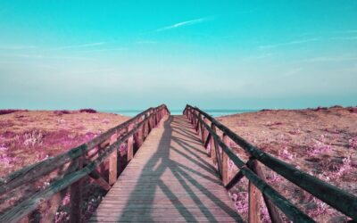 Helping Our Children Find Their Own Path