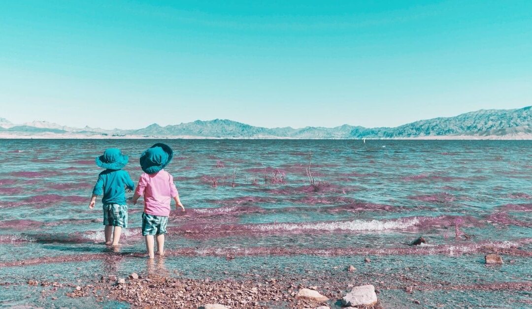 Serving as the Bridge to Autism Identity