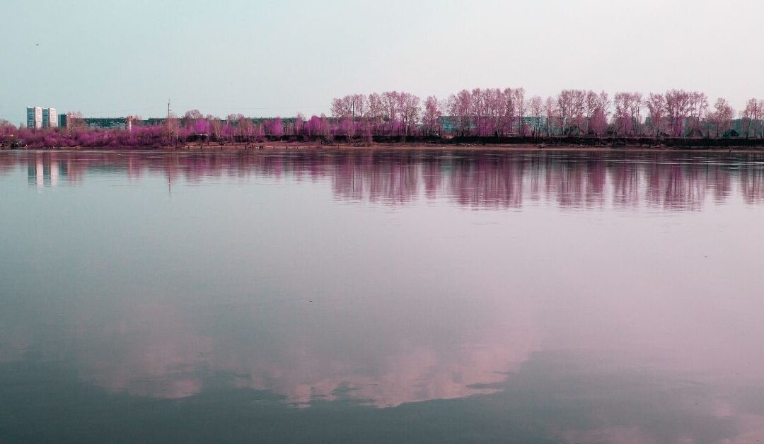 Still Water Runs Deep