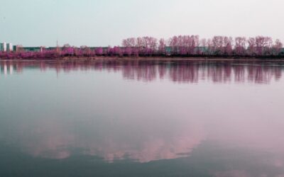 Still Water Runs Deep