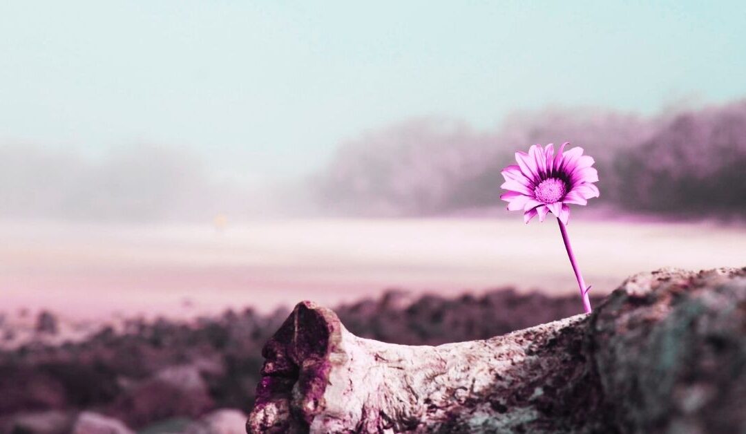 Tired. Sickened. Exhausted…. Hopeful.