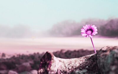 Tired. Sickened. Exhausted…. Hopeful.