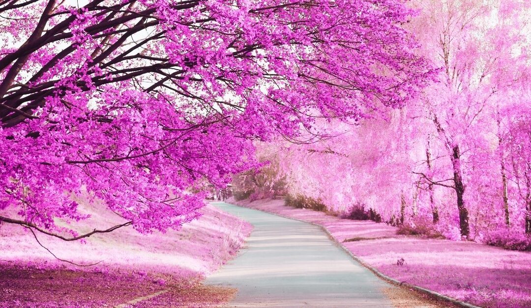 You’ll Figure it Out!